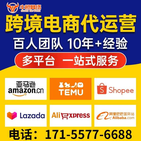 高安电商代运营