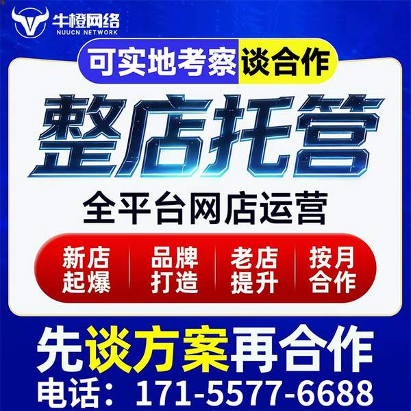 高安电商代运营