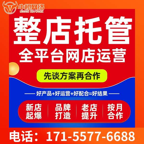 高安电商代运营