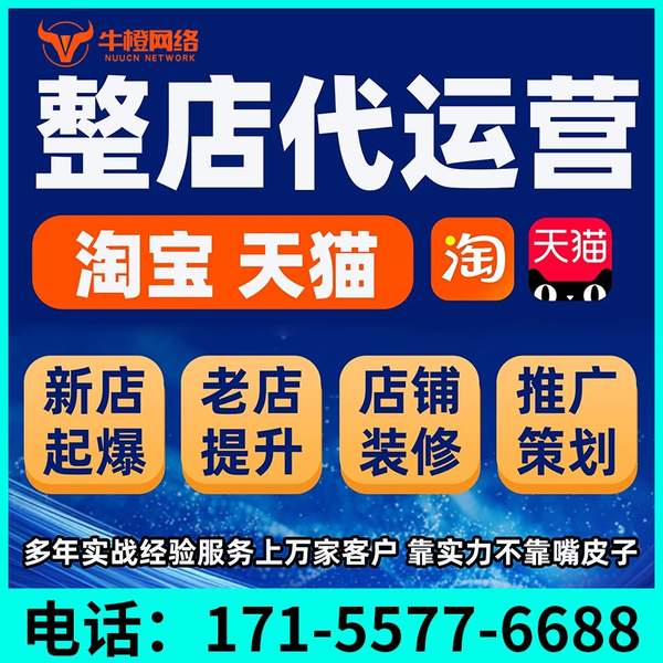 高安电商代运营