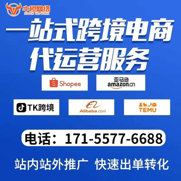 高安电商代运营