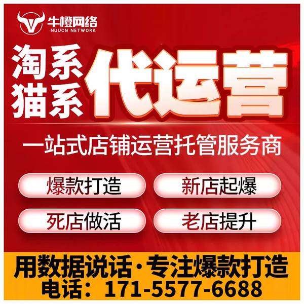 高安电商代运营